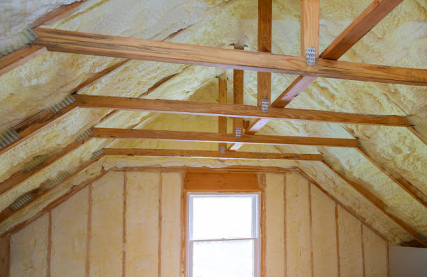 Best Insulation Contractors for Homes  in Grapevine, TX