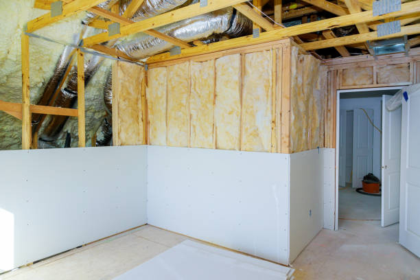 Best Wall Insulation Contractor  in Grapevine, TX