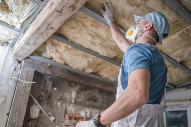 Best Wall Insulation Contractor  in Grapevine, TX