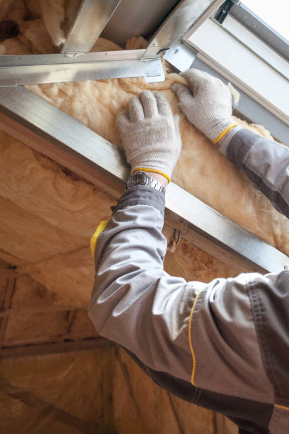 Best Insulation Installation Cost  in Grapevine, TX