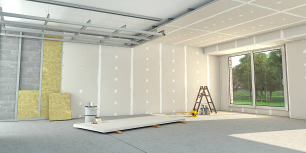 Best Professional Insulation Contractor  in Grapevine, TX