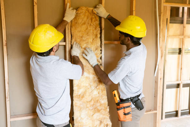 Best Home Insulation Services  in Grapevine, TX