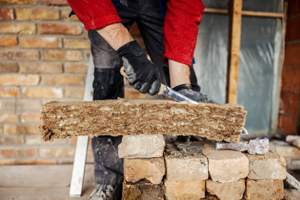 Best Professional Insulation Contractor  in Grapevine, TX