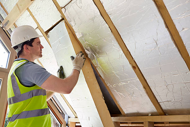 Best Insulation Removal  in Grapevine, TX